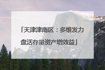 天津津南区：多维发力盘活存量资产增效益